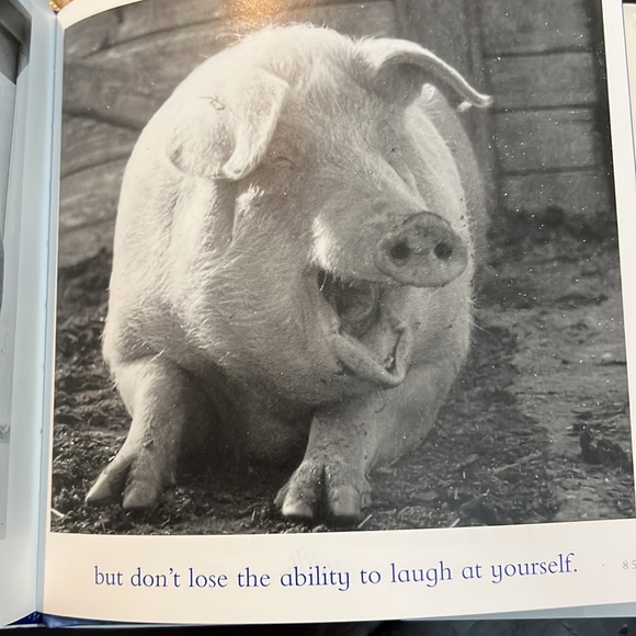 The Blue Day Book: A Lesson In Cheering Yourself Up - Picture 7 of 8
